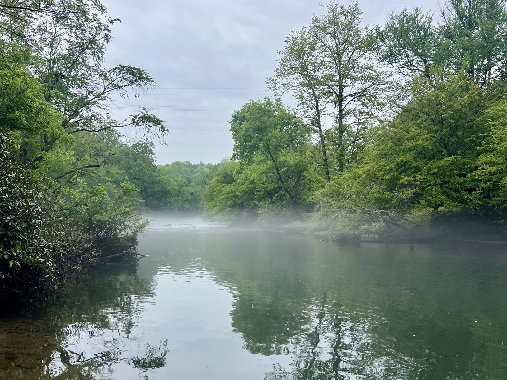 Morning on the River